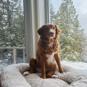 Meet your Posher, Sophie